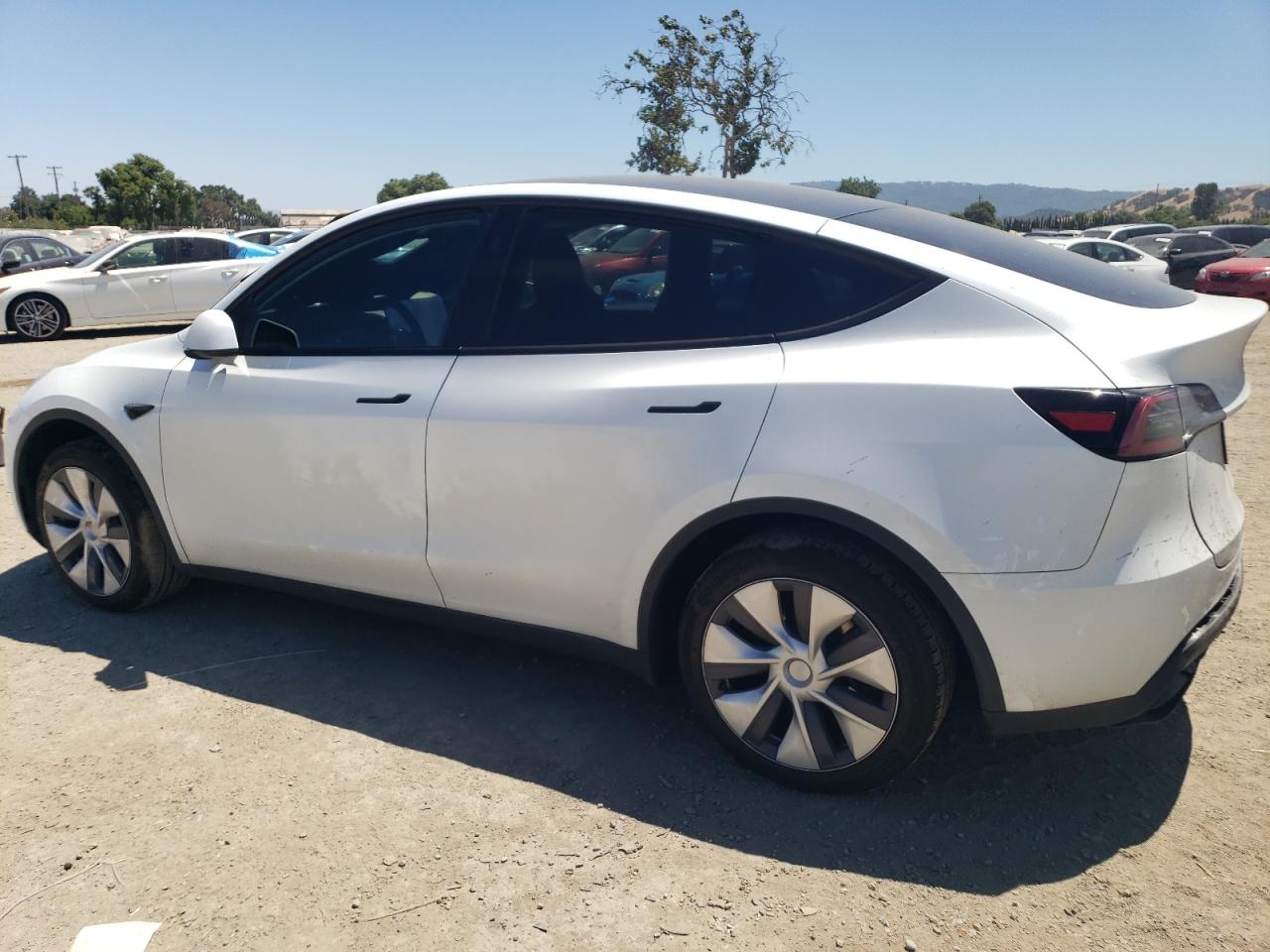 2023 TESLA MODEL Y  VIN:7SAYGDEDXPF946395