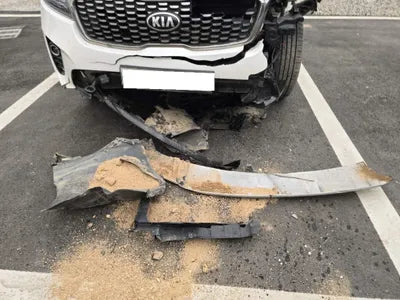 2019 Kia Sorento KNAPG81BDKA540068 VIN:KNAPG81BDKA540068