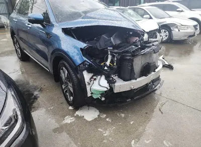 2023 Kia Sorento KNARL81GBPA160134 VIN:KNARL81GBPA160134