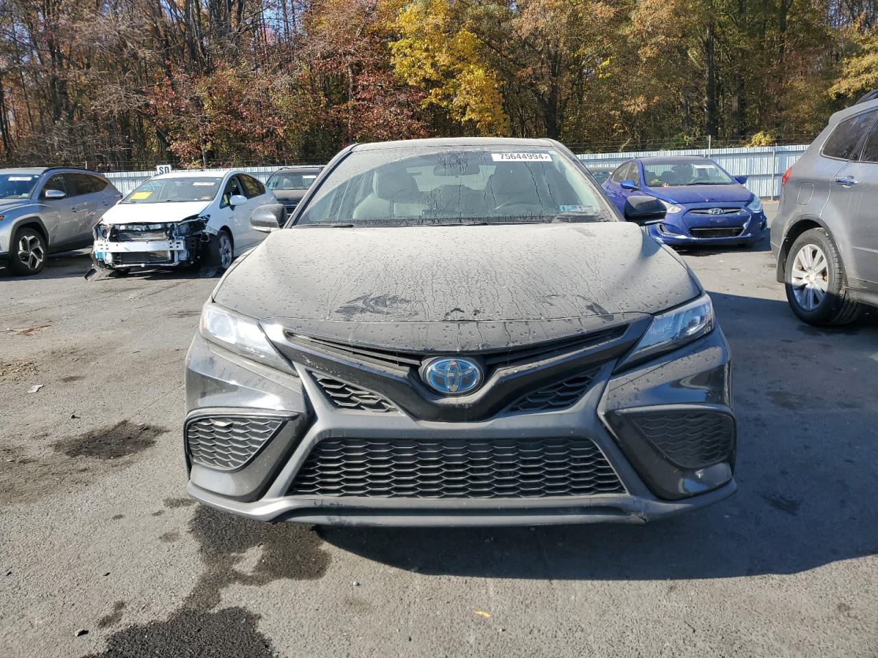 2023 TOYOTA CAMRY SE NIGHT SHADE VIN:4T1G31AK6PU600516