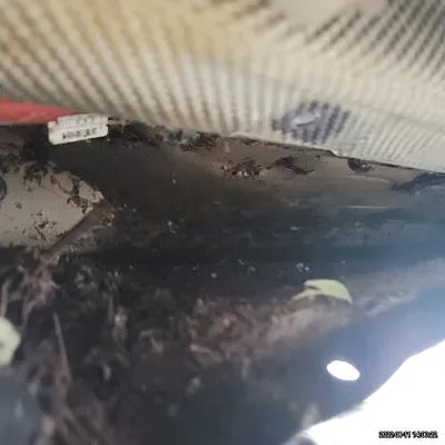 2021 BMW X4 M NONE VIN: