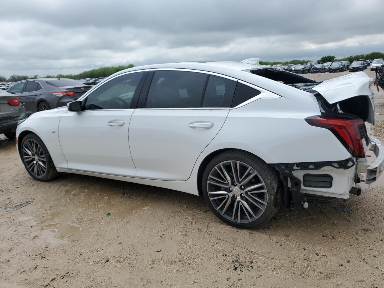 2024 CADILLAC CT5 PREMIUM LUXURY VIN:1G6DN5RK7R0112752