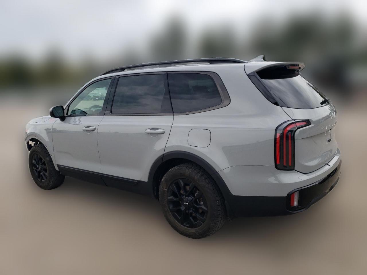 2024 KIA TELLURIDE SX VIN:5XYP5DGC9RG447327