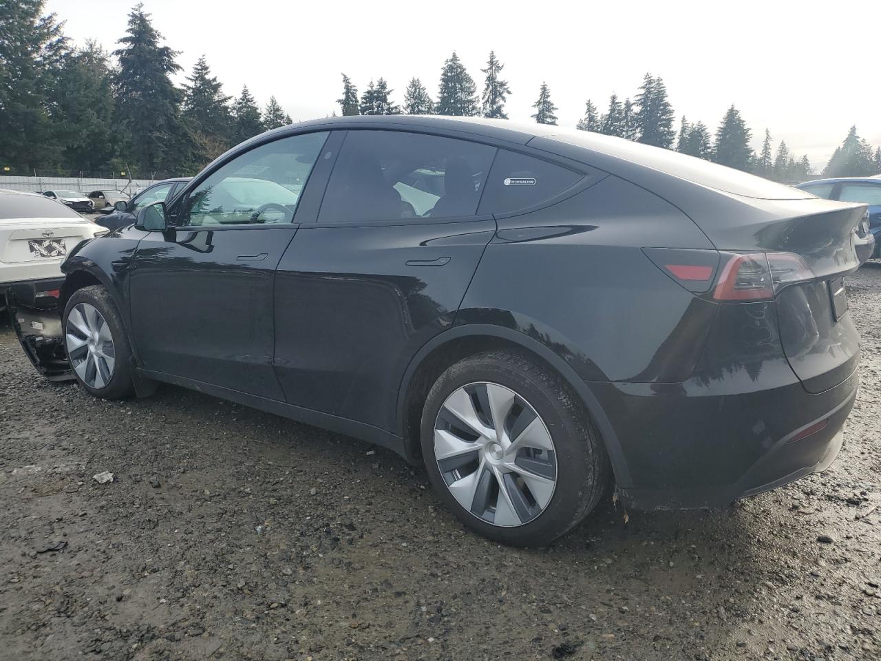 2024 TESLA MODEL Y  VIN:7SAYGAEE8RF985321