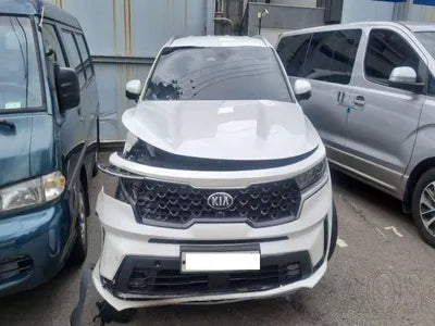 2021 Kia Sorento KNARM81GDMA001365 VIN:KNARM81GDMA001365