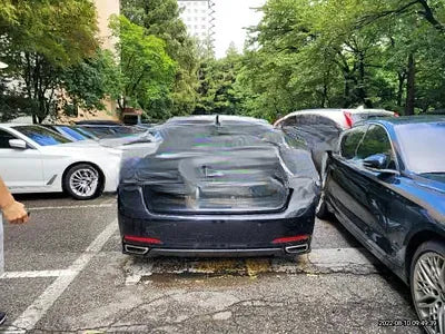 2016 acupuncture nessis 3.3 NONE VIN: