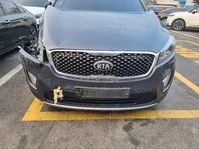 2016 Kia Sorento KNAPS81ADGA269800 VIN:KNAPS81ADGA269800