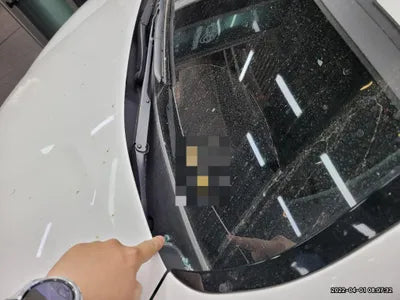 2021 Hyundai Santa FE KMHS281HGMU344697 VIN:KMHS281HGMU344697