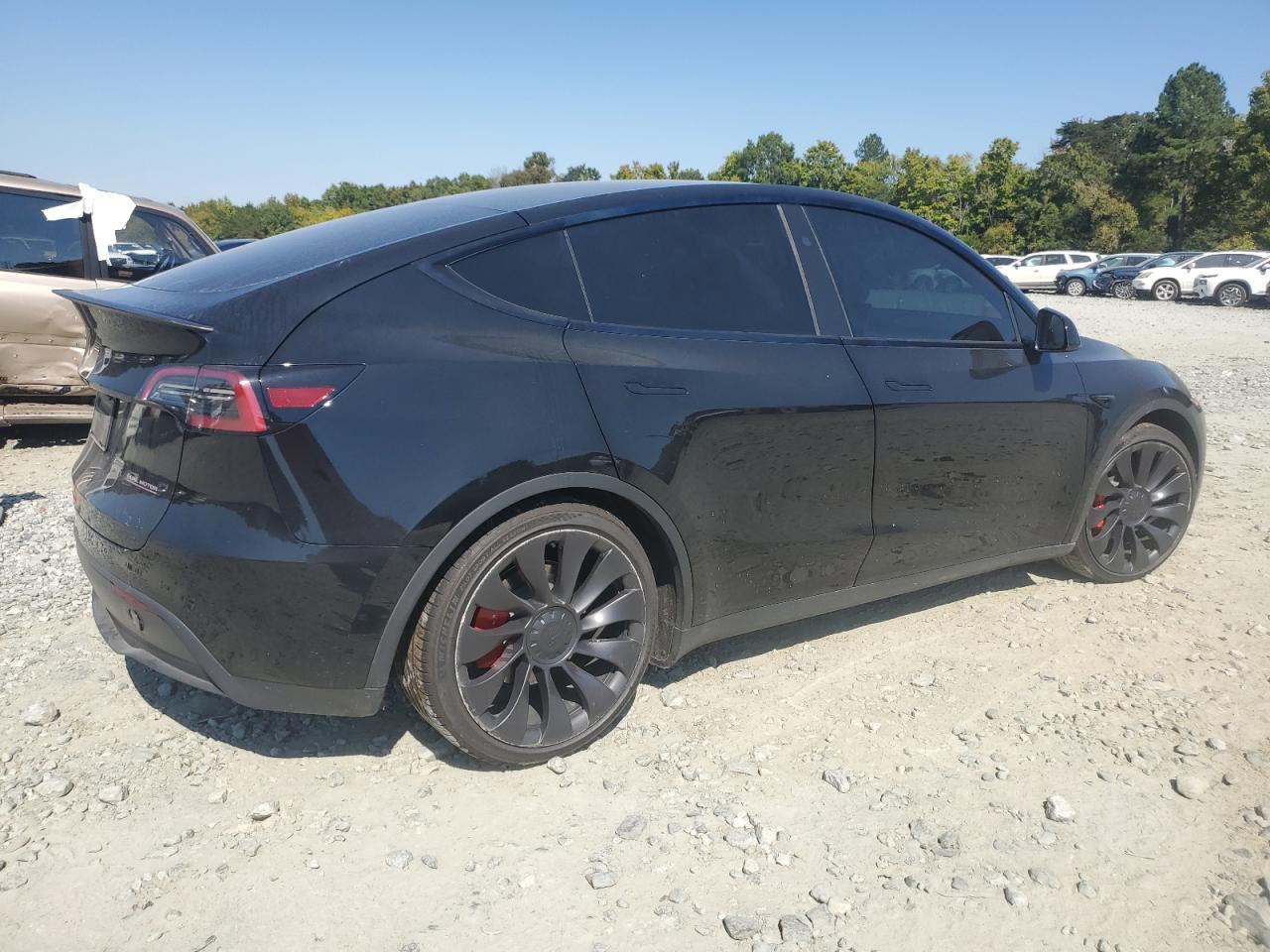 2023 TESLA MODEL Y  VIN:7SAYGDEF9PF916094
