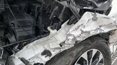 2021 Kia Carnival KNANC81BBMS037923 VIN:KNANC81BBMS037923