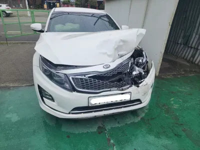 2015 Kia K5 KNAGN41CBFA087565 VIN:KNAGN41CBFA087565