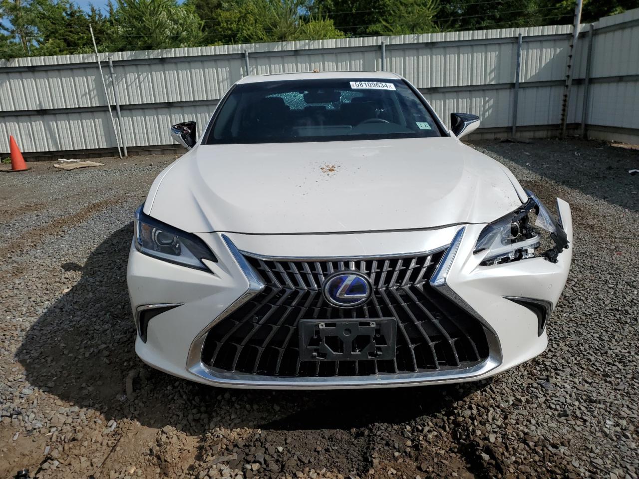 2022 LEXUS ES 300H BASE VIN:58ADA1C11NU015278