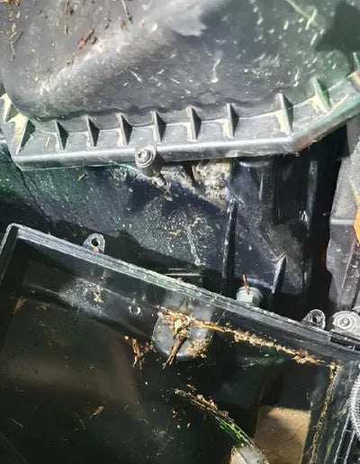 2021 BMW 530 WBAJU8101M9E86180 VIN:WBAJU8101M9E86180