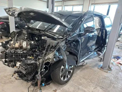 2021 Kia Carnival KNANC81BBMS015376 VIN:KNANC81BBMS015376