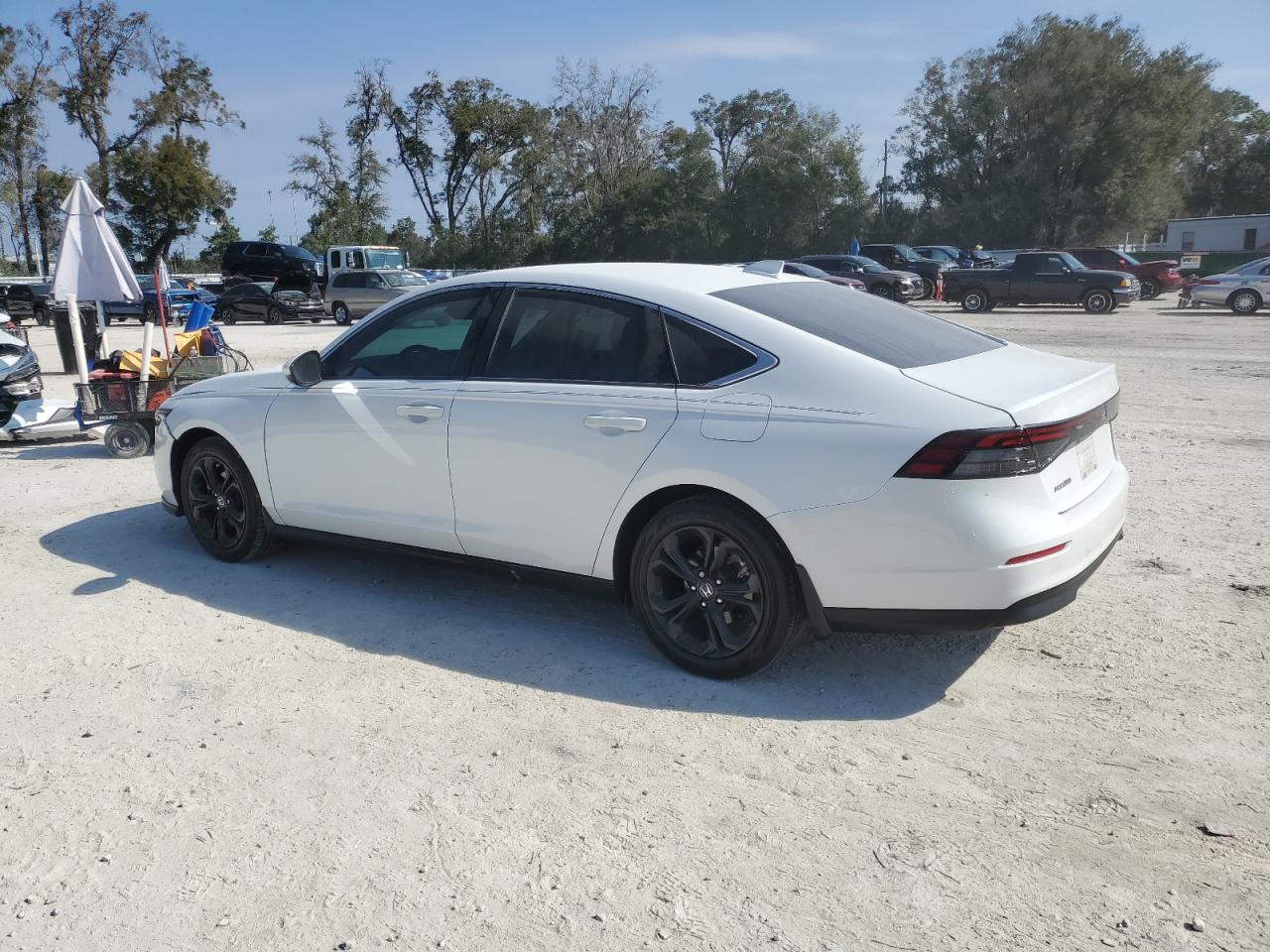 2023 HONDA ACCORD LX VIN:1HGCY1F26PA032722