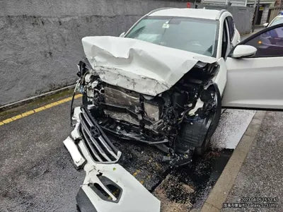 2016 Hyundai Tucson 192KMKMHJ381ADGU0 VIN:192KMKMHJ381ADGU0