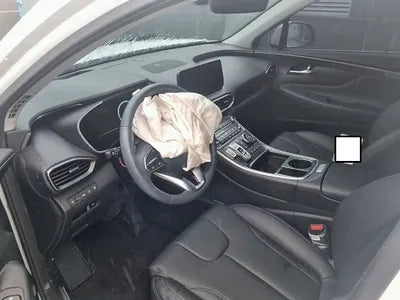2023 Hyundai Santa FE KMHS381LHPU462244 VIN:KMHS381LHPU462244
