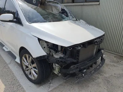 2020 Kia Carnival KNAME81ABLS653172 VIN:KNAME81ABLS653172