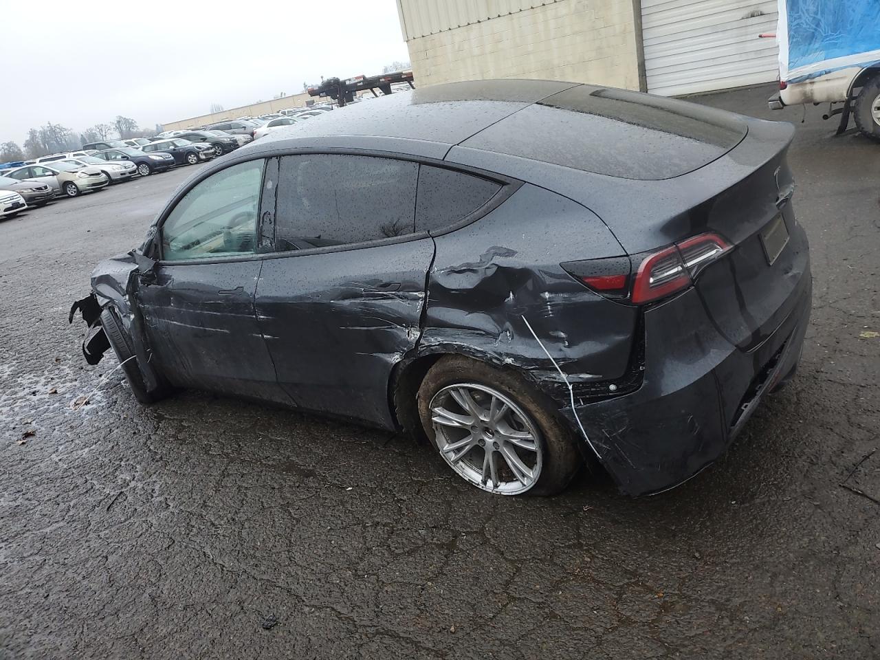 2024 TESLA MODEL Y  VIN:7SAYGDEE0RF990434