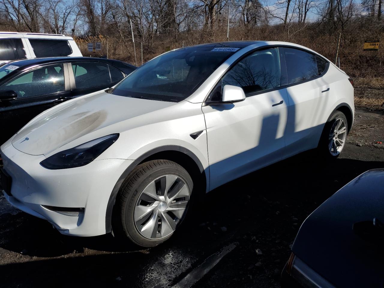 2023 TESLA MODEL Y  VIN:7SAYGDEE5PF785124