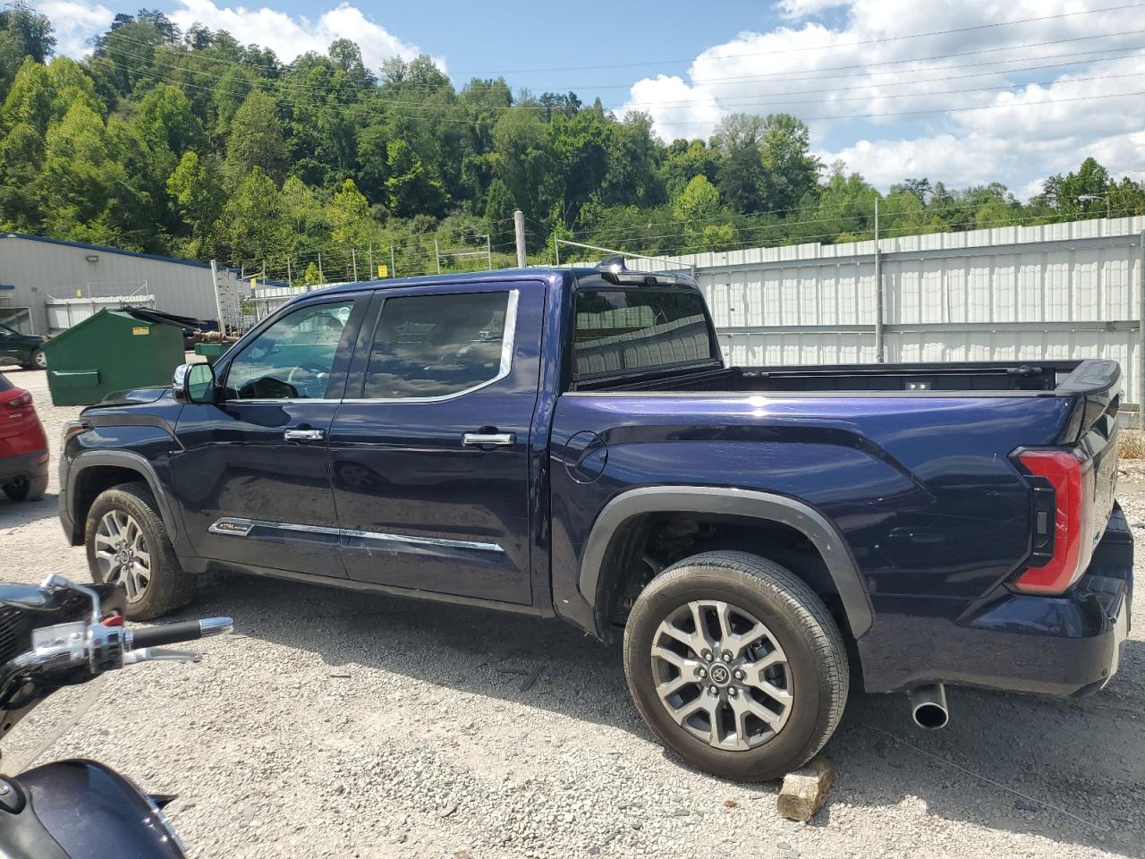 2023 TOYOTA TUNDRA CREWMAX PLATINUM VIN:5TFMA5DB8PX110206