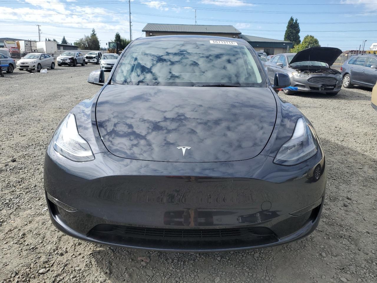 2024 TESLA MODEL Y  VIN:7SAYGDEE4RF063601