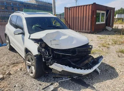 2014 Volkswagen Tiguan VIN: