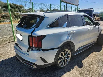 2021 Kia Sorento KNARK81BGMA050572 VIN:KNARK81BGMA050572