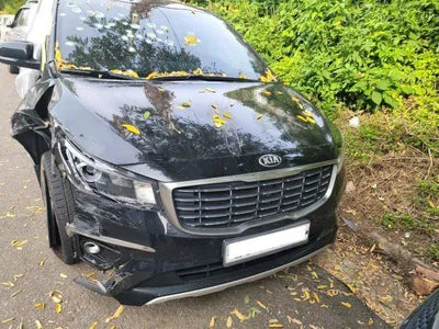 2019 Kia Carnival KNAMB81ABKS579049 VIN:KNAMB81ABKS579049