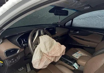 2019 Hyundai Santa FE KMHS381CBKU028156 VIN:KMHS381CBKU028156