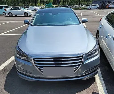 2016 acupuncture nessis 3.3 NONE VIN: