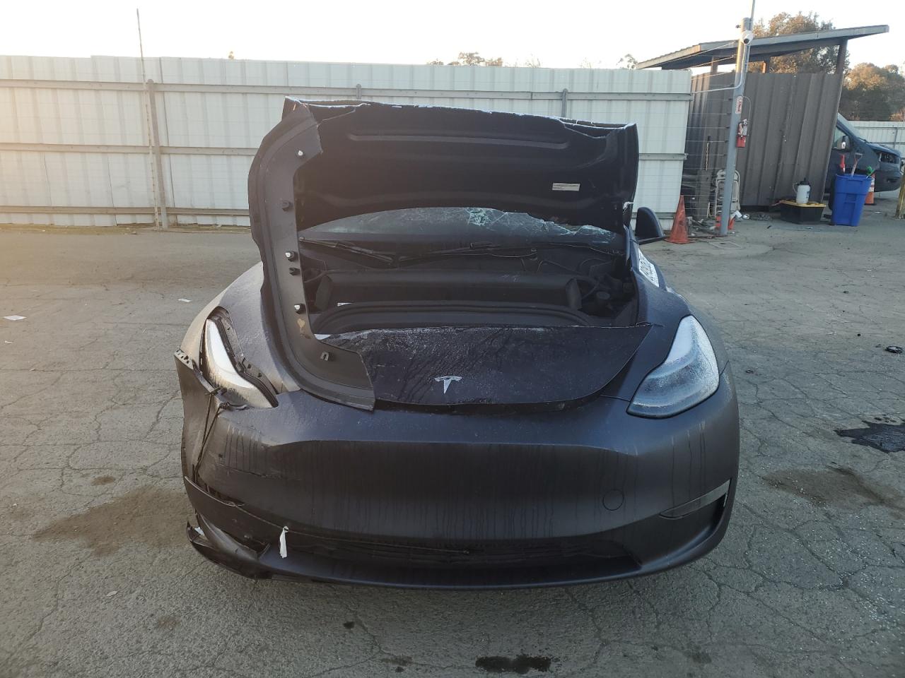 2024 TESLA MODEL Y  VIN:7SAYGDEE4RA223599