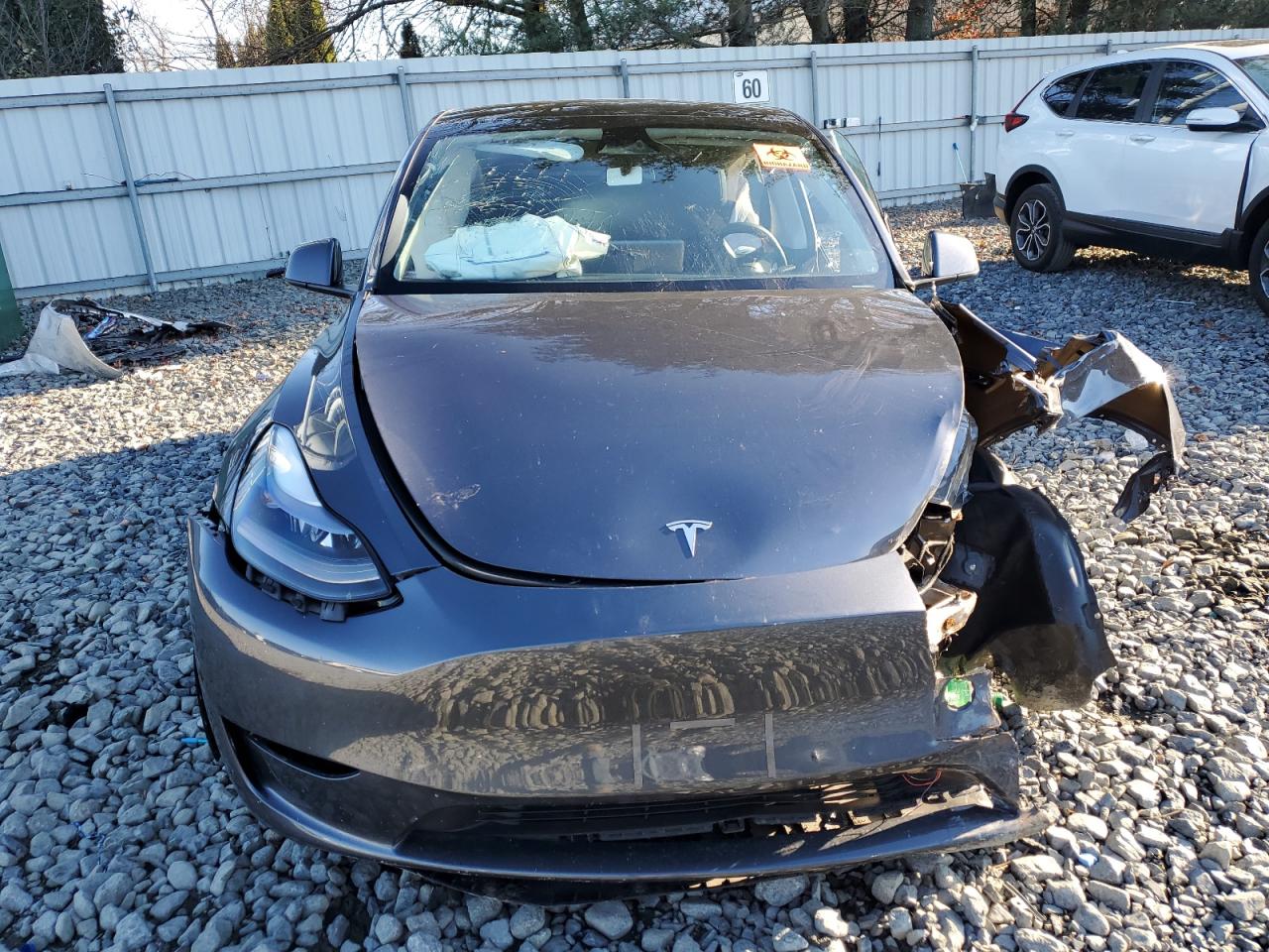 2023 TESLA MODEL Y  VIN:7SAYGAEE6PF846575