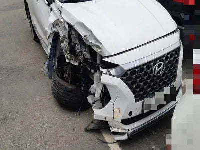 2019 Hyundai Santa FE KMHS581BBLU263475 VIN:KMHS581BBLU263475