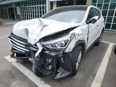 2018 Hyundai Santa FE KMHSW81UBJU804431 VIN:KMHSW81UBJU804431