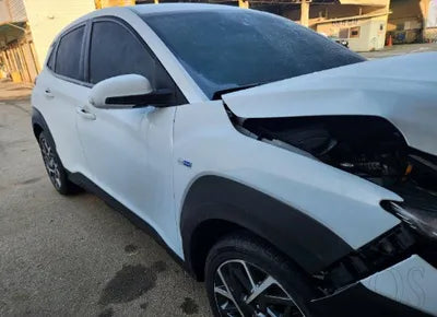 2020 Hyundai Kona KMHK381EGLU028060 VIN:KMHK381EGLU028060