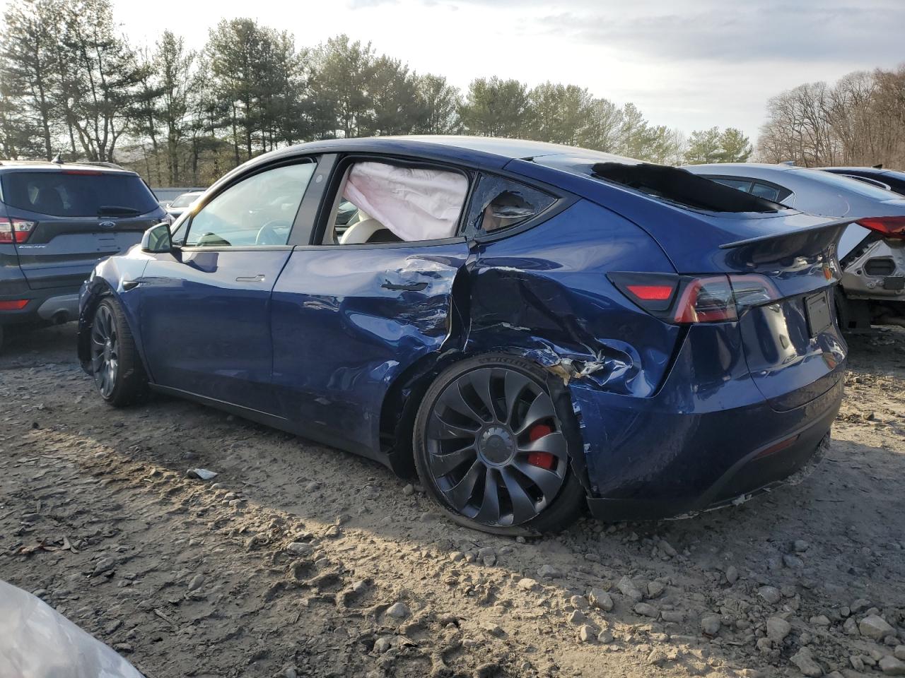 2024 TESLA MODEL Y  VIN:7SAYGDEF4RF026492
