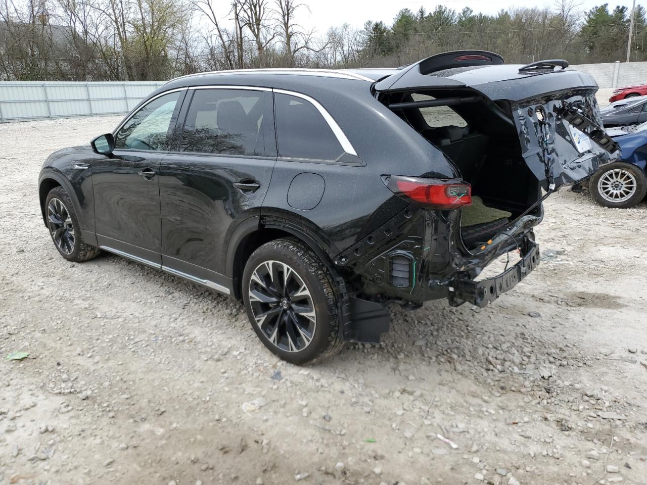 2024 MAZDA CX-90 PREMIUM PLUS VIN:JM3KKEHA8R1125744