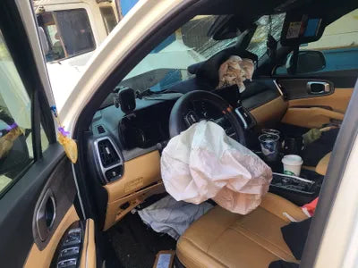 2021 Kia Sorento KNARL81BGMA039006 VIN:KNARL81BGMA039006