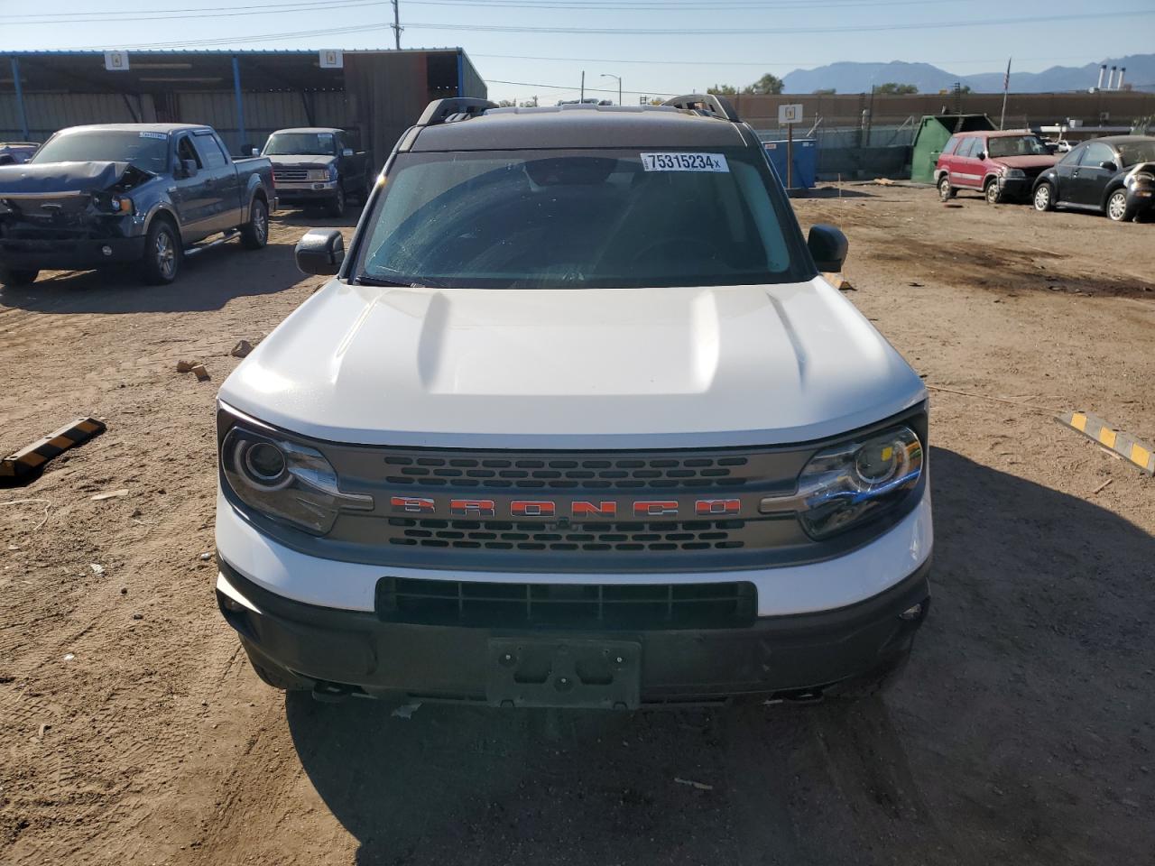 2024 FORD BRONCO SPORT BADLANDS VIN:3FMCR9D95RRE09295