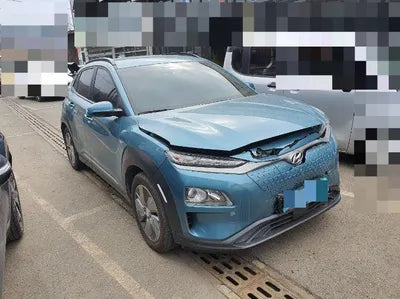 2019 Hyundai Kona KMHK281GFLU069893 VIN:KMHK281GFLU069893