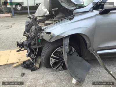 2019 Hyundai Santa FE KMHS381BDLU244867 VIN:KMHS381BDLU244867