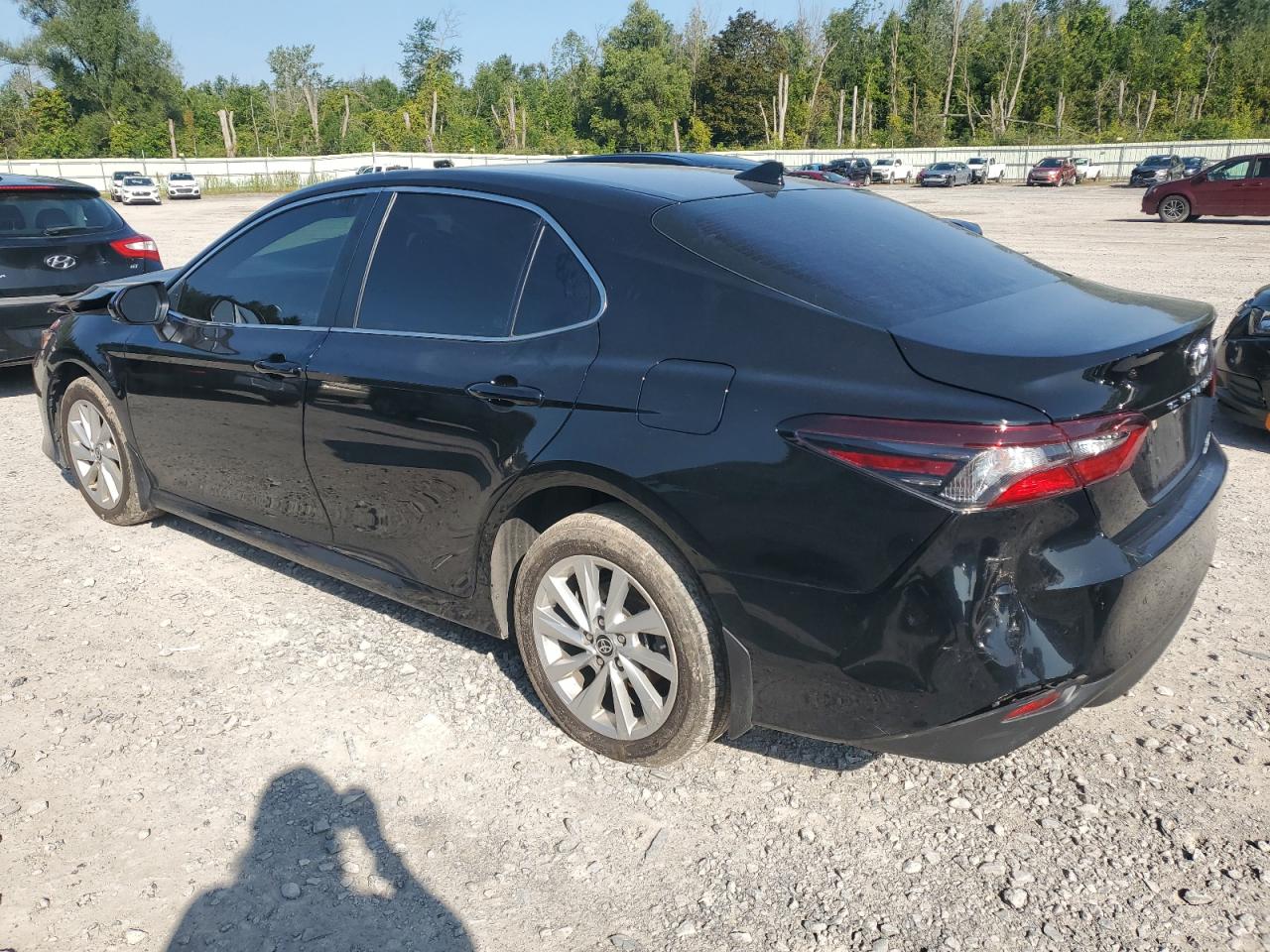 2023 TOYOTA CAMRY LE VIN:4T1C11BK9PU096062