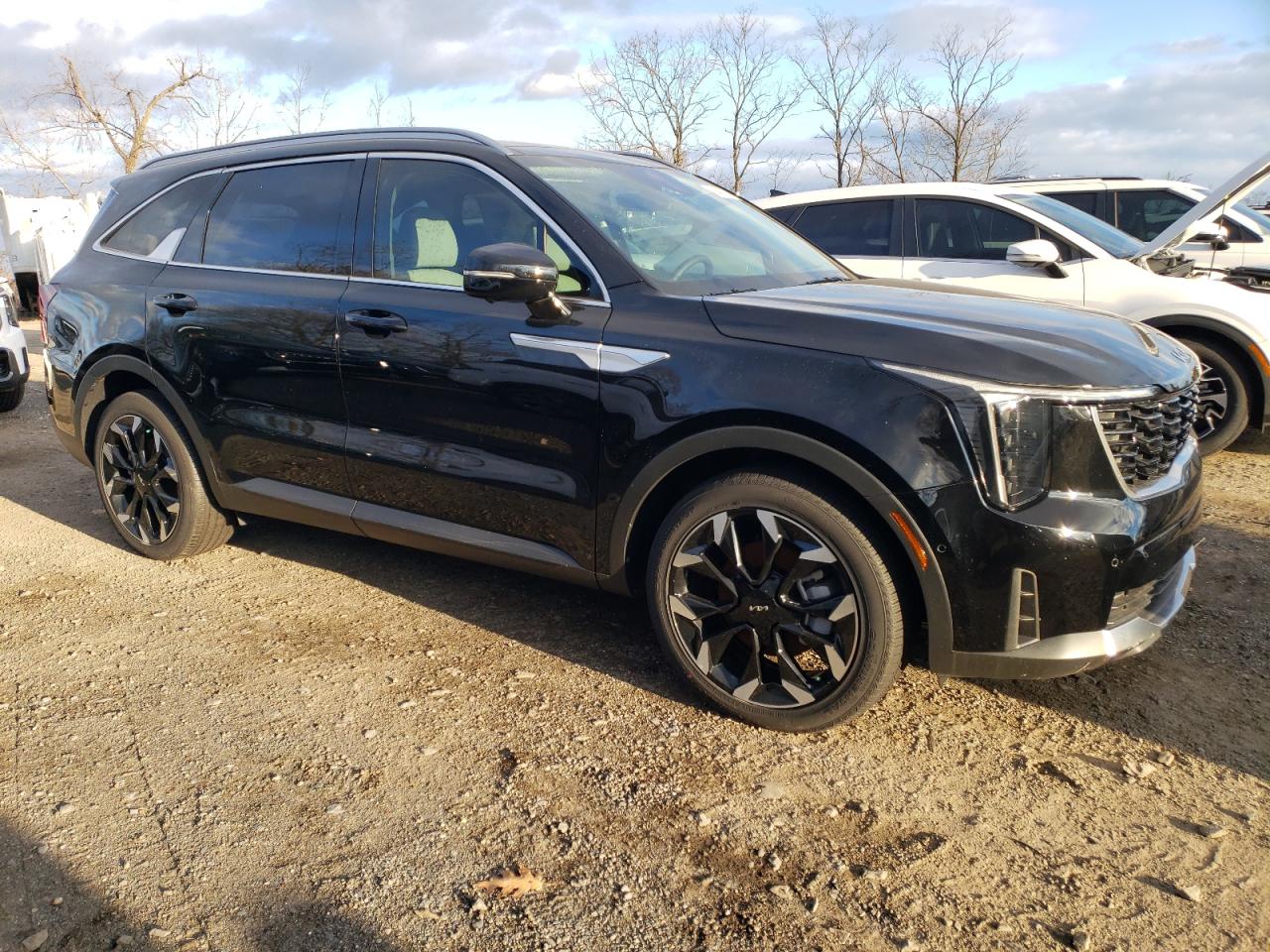 2024 KIA SORENTO SX VIN:5XYRK4JF6RG288349