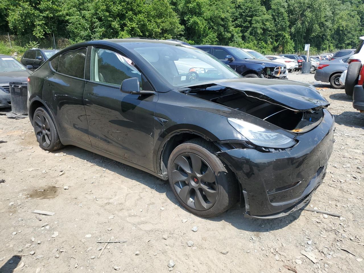2023 TESLA MODEL Y  VIN:7SAYGDEE1PA149474