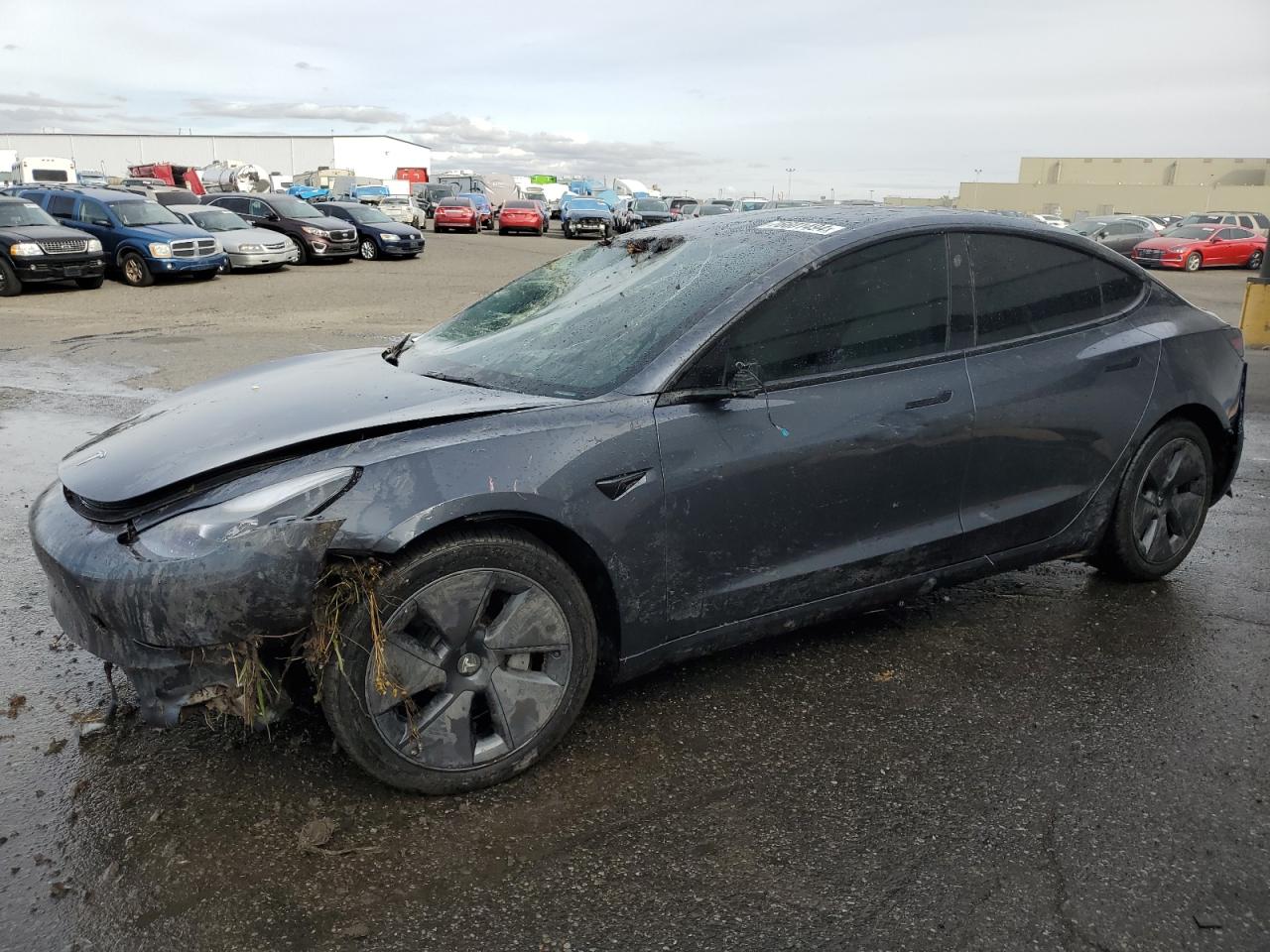 2022 TESLA MODEL 3  VIN:5YJ3E1EB8NF362102