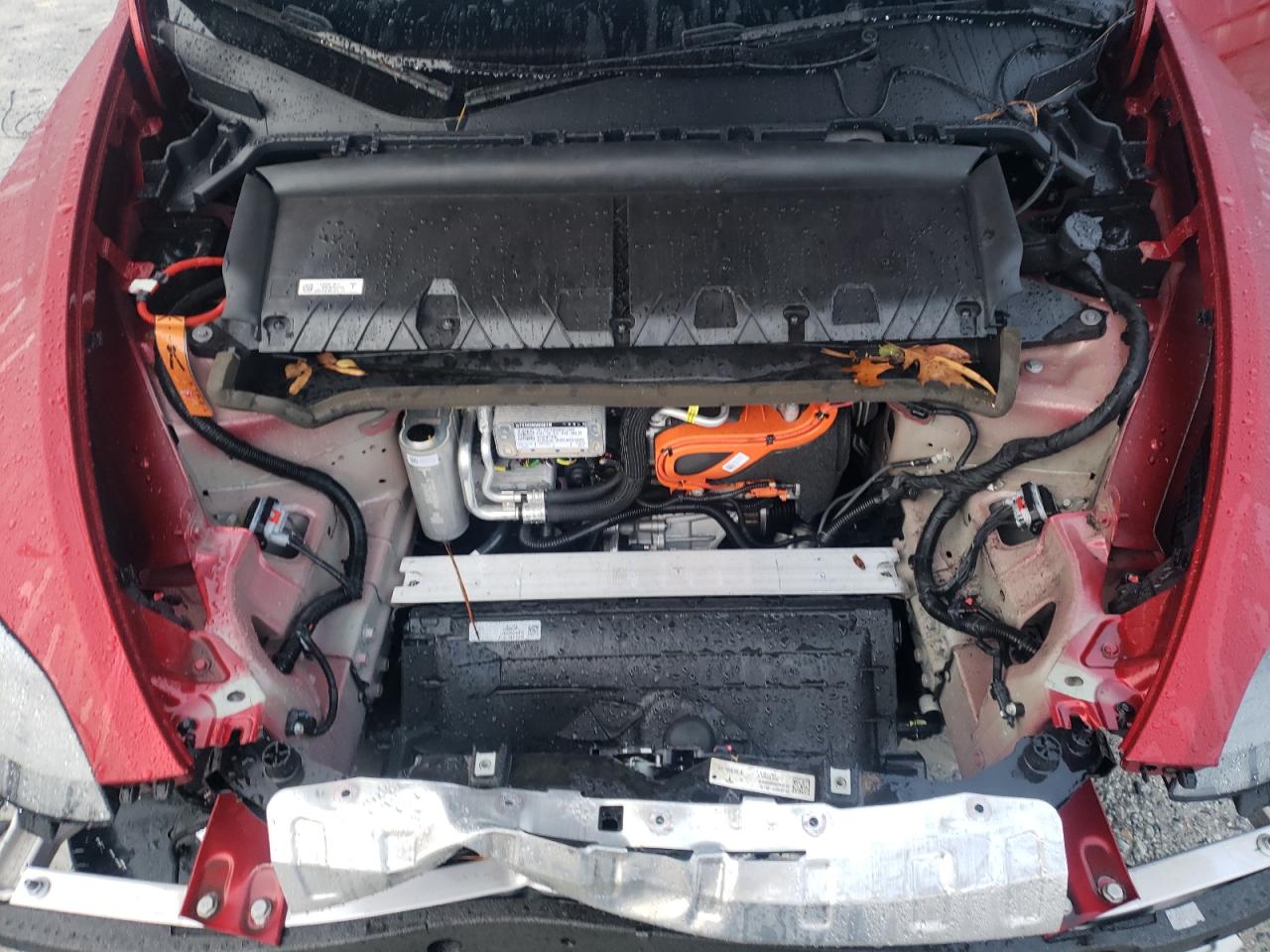 2024 TESLA MODEL Y  VIN:7SAYGDEF0RA265342