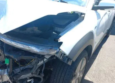 2019 Hyundai Kona KMHK281GFKU015959 VIN:KMHK281GFKU015959