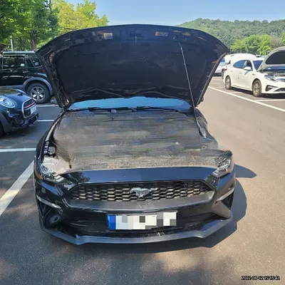 2021 Ford Mustang NONE VIN: