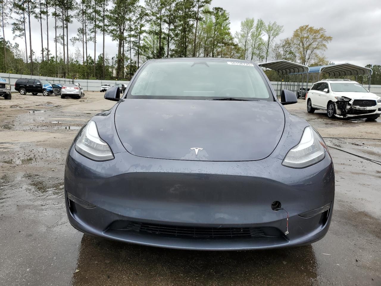 2023 TESLA MODEL Y  VIN:7SAYGDEE4PA161313